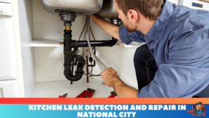 Kitchen Leak Detection